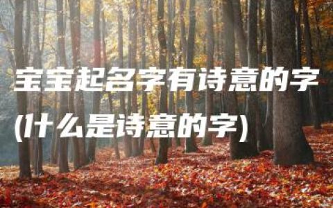 宝宝起名字有诗意的字(什么是诗意的字)