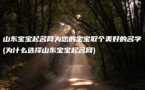 山东宝宝起名网为您的宝宝取个美好的名字(为什么选择山东宝宝起名网)