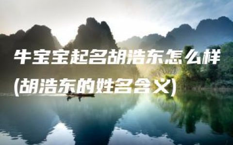 牛宝宝起名胡浩东怎么样(胡浩东的姓名含义)