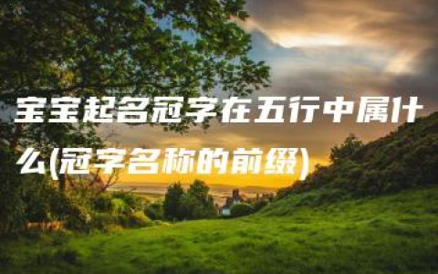 宝宝起名冠字在五行中属什么(冠字名称的前缀)