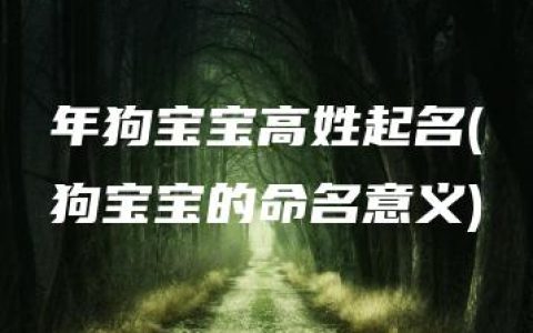 年狗宝宝高姓起名(狗宝宝的命名意义)