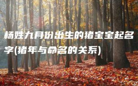 杨姓九月份出生的猪宝宝起名字(猪年与命名的关系)