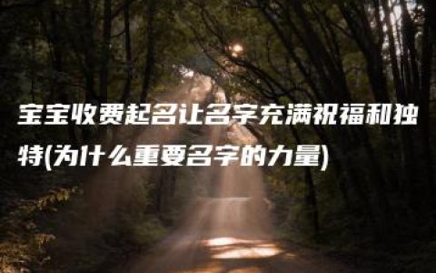 宝宝收费起名让名字充满祝福和独特(为什么重要名字的力量)