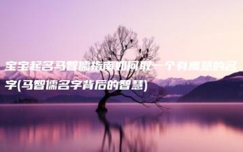 宝宝起名马智儒指南如何取一个有寓意的名字(马智儒名字背后的智慧)