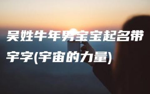 吴姓牛年男宝宝起名带宇字(宇宙的力量)