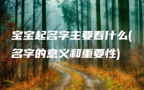 宝宝起名字主要看什么(名字的意义和重要性)