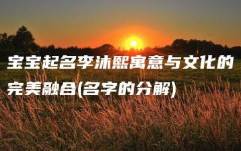 宝宝起名李沐熙寓意与文化的完美融合(名字的分解)