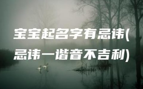 宝宝起名字有忌讳(忌讳一谐音不吉利)