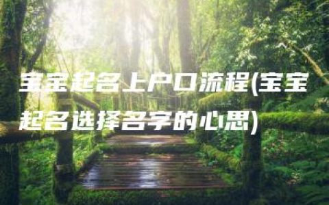 宝宝起名上户口流程(宝宝起名选择名字的心思)