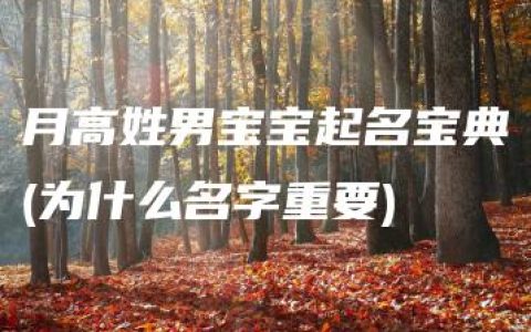 月高姓男宝宝起名宝典(为什么名字重要)