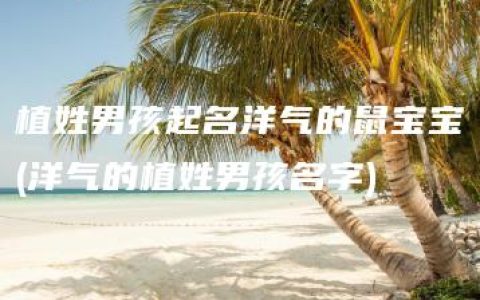 植姓男孩起名洋气的鼠宝宝(洋气的植姓男孩名字)