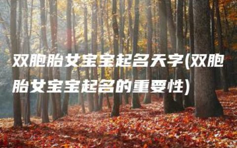 双胞胎女宝宝起名天字(双胞胎女宝宝起名的重要性)