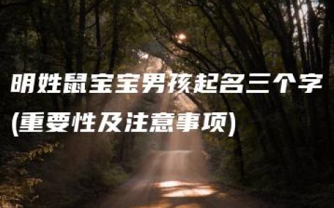 明姓鼠宝宝男孩起名三个字(重要性及注意事项)