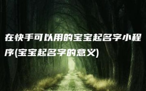 在快手可以用的宝宝起名字小程序(宝宝起名字的意义)