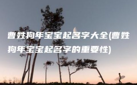 曹姓狗年宝宝起名字大全(曹姓狗年宝宝起名字的重要性)