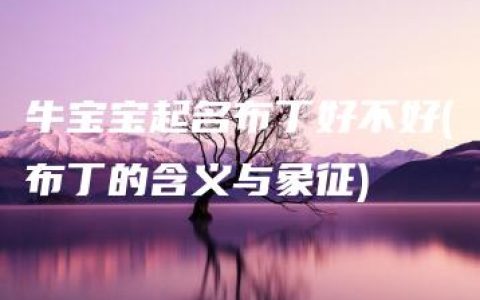 牛宝宝起名布丁好不好(布丁的含义与象征)