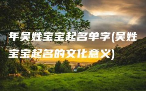 年吴姓宝宝起名单字(吴姓宝宝起名的文化意义)