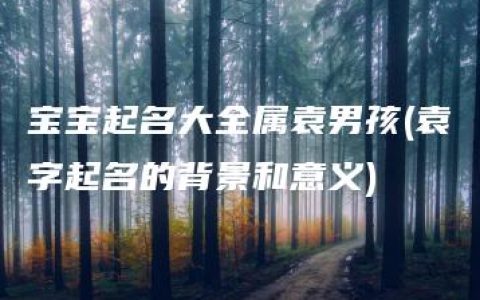 宝宝起名大全属袁男孩(袁字起名的背景和意义)