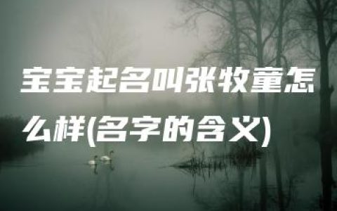 宝宝起名叫张牧童怎么样(名字的含义)