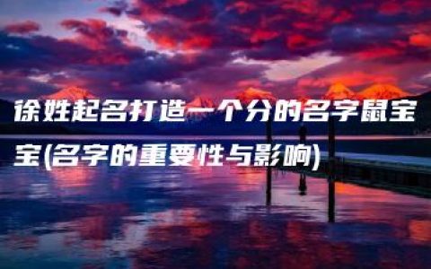 徐姓起名打造一个分的名字鼠宝宝(名字的重要性与影响)