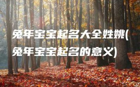 兔年宝宝起名大全姓姚(兔年宝宝起名的意义)