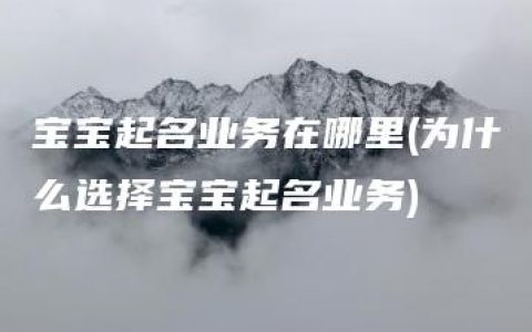 宝宝起名业务在哪里(为什么选择宝宝起名业务)