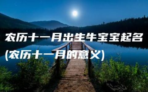 农历十一月出生牛宝宝起名(农历十一月的意义)