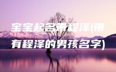 宝宝起名带程泽(带有程泽的男孩名字)