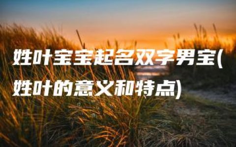 姓叶宝宝起名双字男宝(姓叶的意义和特点)