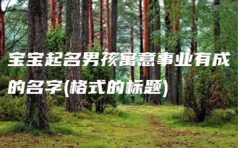 宝宝起名男孩寓意事业有成的名字(格式的标题)