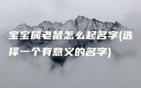 宝宝属老鼠怎么起名字(选择一个有意义的名字)