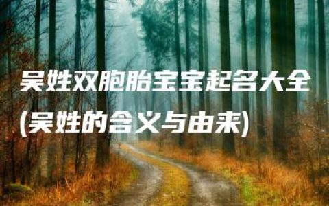 吴姓双胞胎宝宝起名大全(吴姓的含义与由来)