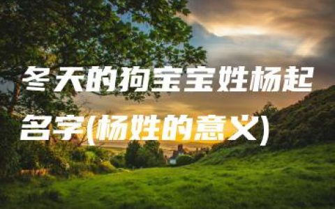 冬天的狗宝宝姓杨起名字(杨姓的意义)