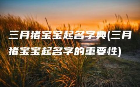 三月猪宝宝起名字典(三月猪宝宝起名字的重要性)