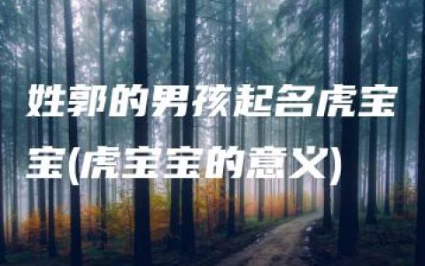 姓郭的男孩起名虎宝宝(虎宝宝的意义)