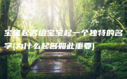 宝宝起名给宝宝起一个独特的名字(为什么起名如此重要)