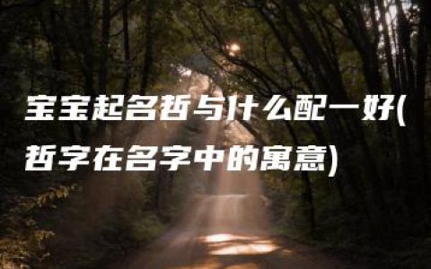 宝宝起名哲与什么配一好(哲字在名字中的寓意)