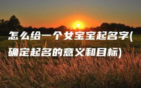 怎么给一个女宝宝起名字(确定起名的意义和目标)