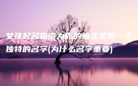 女孩起名指南为你的猪宝宝取一个独特的名字(为什么名字重要)