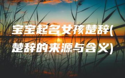 宝宝起名女孩楚辞(楚辞的来源与含义)