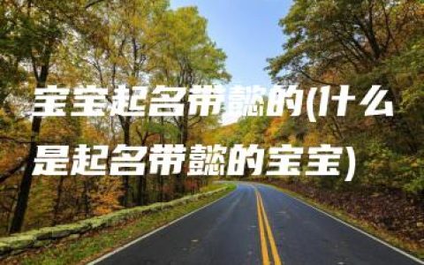 宝宝起名带懿的(什么是起名带懿的宝宝)