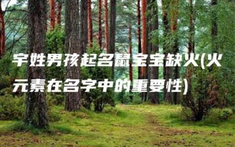 宇姓男孩起名鼠宝宝缺火(火元素在名字中的重要性)