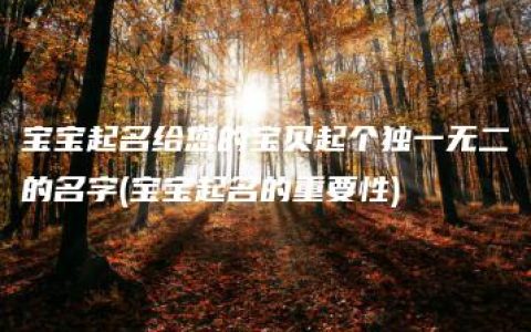 宝宝起名给您的宝贝起个独一无二的名字(宝宝起名的重要性)