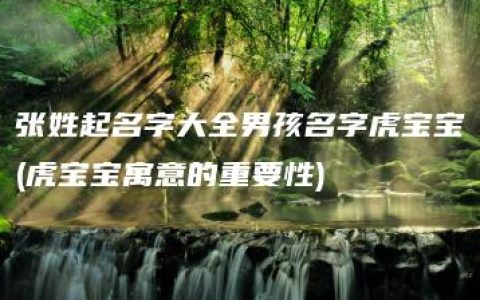 张姓起名字大全男孩名字虎宝宝(虎宝宝寓意的重要性)