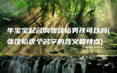 牛宝宝起名叫张汶韬男孩可以吗(张汶韬这个名字的含义和特点)