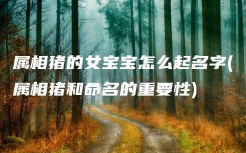 属相猪的女宝宝怎么起名字(属相猪和命名的重要性)