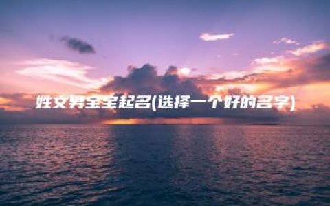 姓文男宝宝起名(选择一个好的名字)