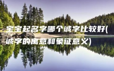 宝宝起名字哪个诚字比较好(诚字的寓意和象征意义)