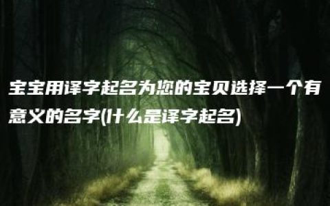 宝宝用译字起名为您的宝贝选择一个有意义的名字(什么是译字起名)