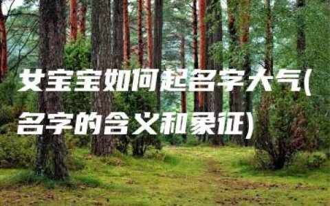 女宝宝如何起名字大气(名字的含义和象征)